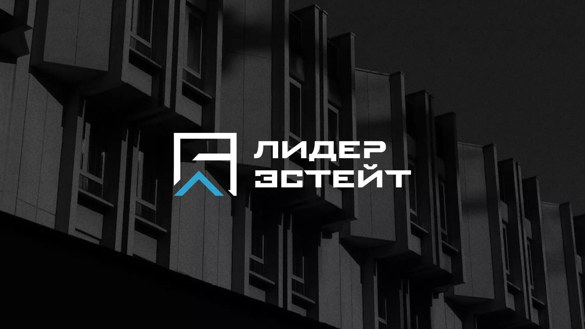 Разработка логотипа агентства недвижимости «Лидер Эстейт» в Ленске